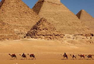 desierto camellos.jpg
